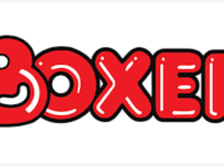 Boxer Jobs 2026: Retail Career Opportunities