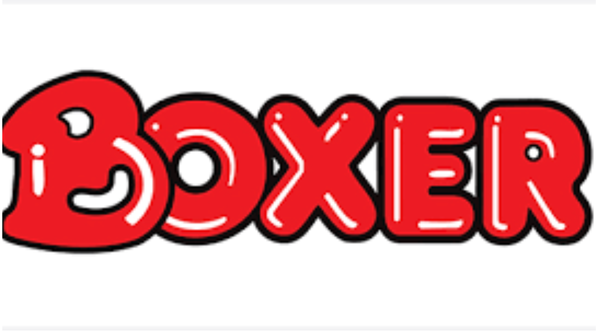 Boxer Jobs 2026: Retail Career Opportunities Across South Africa